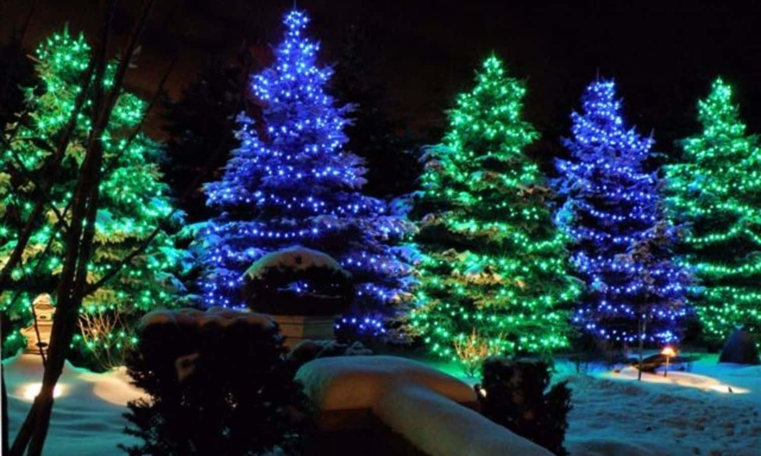 Tree Lighting from Denver to Fort Collins CO 1