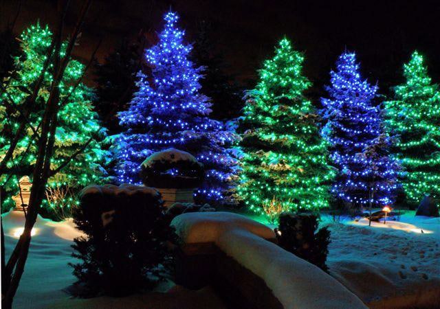 Tree Lighting installation company in fort collins co 1